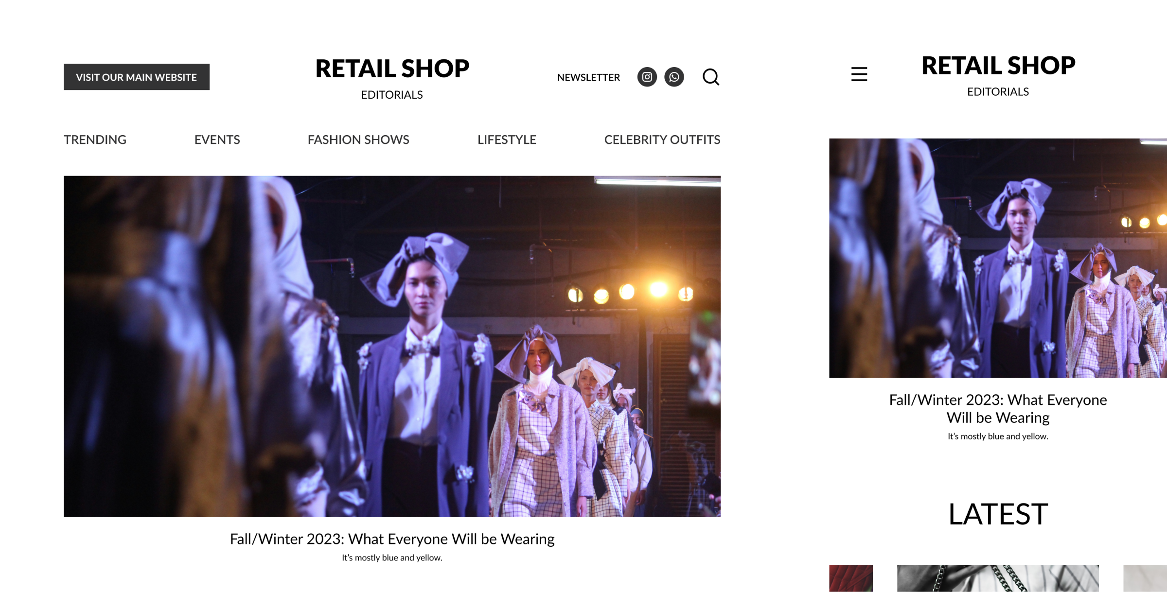 Final Website (Desktop + Mobile)